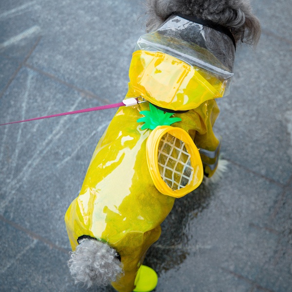 Pet Spring / Summer Raincoat